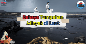 Bahaya Tumpahan Minyak di Laut