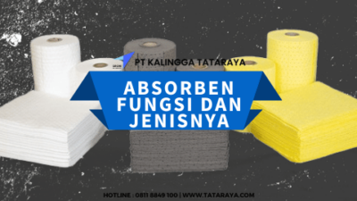 Absorben Fungsi Dan Jenisnya