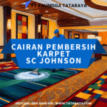 pembersih karpet professional