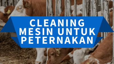 Cleaning Mesin Untuk Peternakan