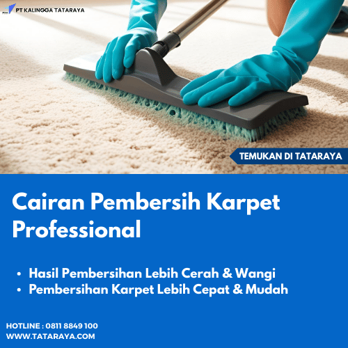 Cleaning Carpet