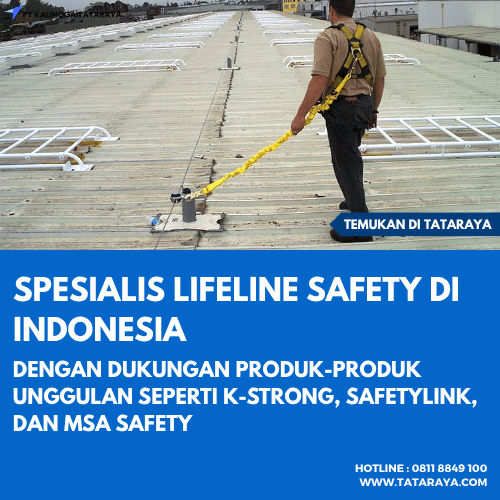 Spesialis Lifeline Safety di Indonesia