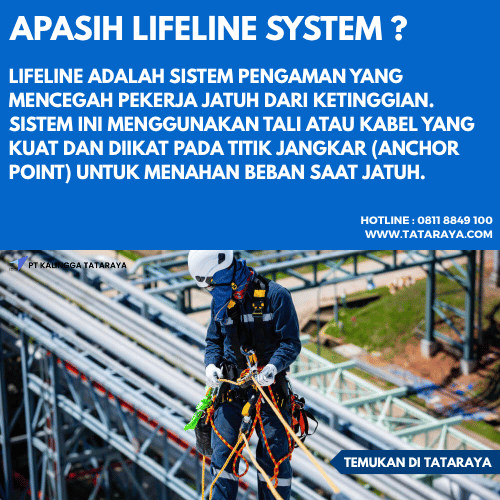 fungsi lifeline system